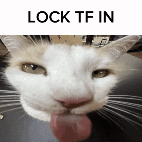 Lock in